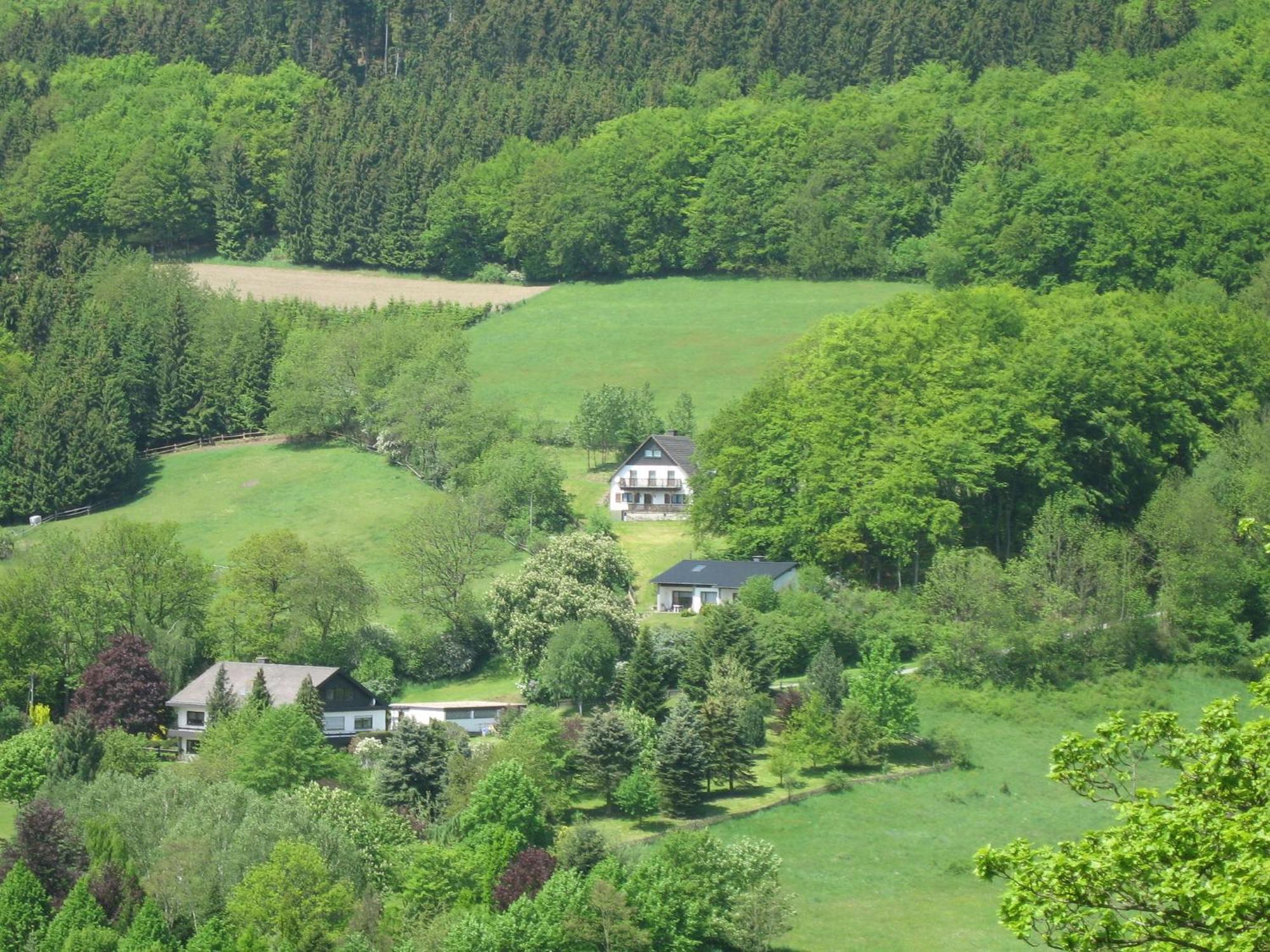 Nice Holiday Home Near Ski Area 梅德巴赫 外观 照片